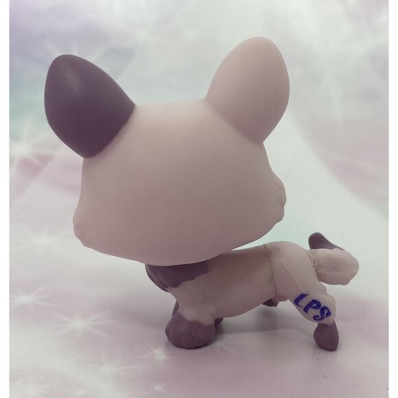 Authentic Littlest Pet Shop # 1645 Lavender Purple Corgi Dog Blue Eyes Outfit - Picture 3 of 3